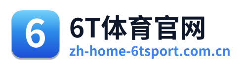 6T体育官网